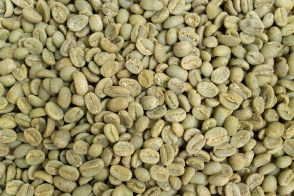 Unroasted coffee beans